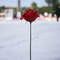 100-Pack: Burgundy Rose Picks, 8" Stems, 3" Wide, Floral Home by Artificial Flowers